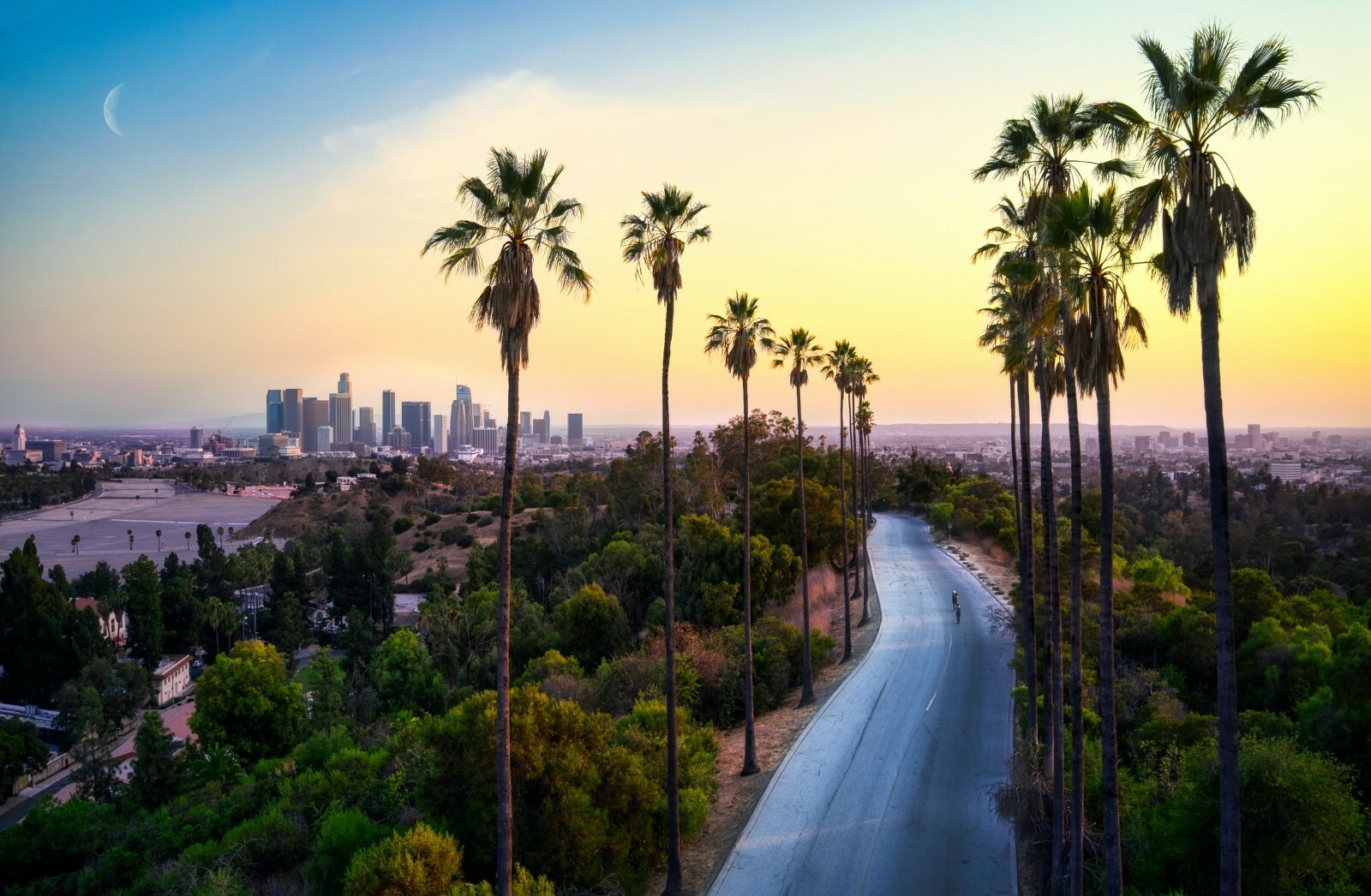 Los Angeles skyline at sunset with palm trees and a winding road